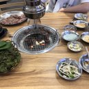 뉴진갈매기 이미지