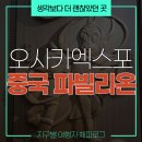 손오공과 함께하는 놀이한자 | 중국이 작정하고(?) 만든 2025 오사카 엑스포 파빌리온! 내부 관람 후기