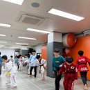 한국체대 리더스태권도장 이미지