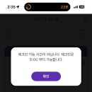 댕댕랜드 | 하이원리조트 마운틴콘도 디럭스 온돌 댕댕트레킹 강아지동반