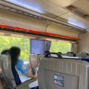 창원 NC파크 가는법 주차장 먹거리 원정 다녀온 후기