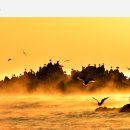 관광안내전시관 이미지