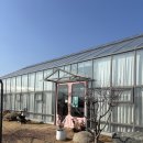 양지용농장 | 경기 딸기체험농장 포레스트벨 용인 실내가볼만한곳