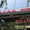 [양산 증산] 뽀얀 국물파도 반해버린 돼지국밥! 해양산국밥 증산점 후기