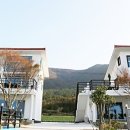 피에르몽펜션