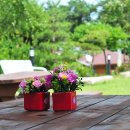 해피트리펜션 이미지