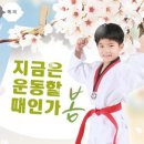 경희대석사 흑룡태권도 이미지