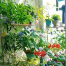 커피타임 이미지