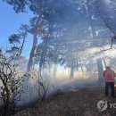 강릉 선교장 인근 산불 20여분 만에 진화…산림 100㎡ 소실(종합) 이미지