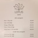 로터스 에스테틱