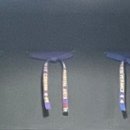 용인대 이충현 태권도장 이미지