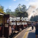 멜버른 퍼핑빌리 투어, 호주 기차 여행 자리 꿀팁 OK여행사 후기