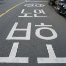 노인보호구역 티스토리