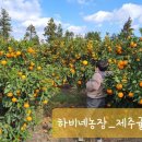 제주미싱 이미지