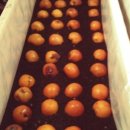 주영농장(4) 이미지