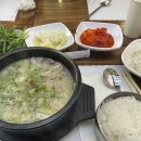 양마니 이미지