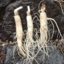 영화한의원 이미지