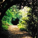 3/7~8 붉은 동백의 물결 "지심도",거연정,개평한옥마을,신선대,바람의언덕,진주성,함양,거제여행~~ 이미지