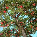 류가농장 이미지