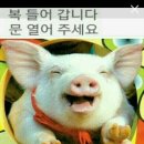 테크닉 이미지