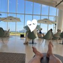 우도초등학교 | 제주 40일 살이 견문록_⑭차 가지고 우도 여행하기