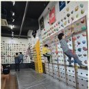 미래백호태권도장 이미지