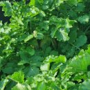 원효특수용접 이미지