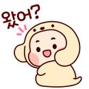 정갈한마미찬 이미지