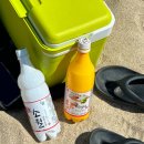 삼오민박 이미지