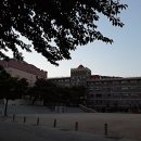 동삼초등학교 이미지