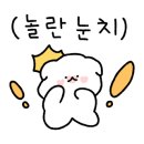 강아지유치원CAREDOGS