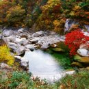 장사경로당 이미지