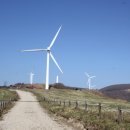 하늘목장 이미지