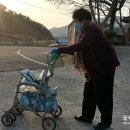 백곡할머니 이미지