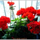 은혜병원 이미지