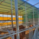 주식회사 비에스온 이미지