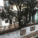 도봉-도봉-서울도봉-2371 이미지