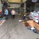 진보모터스 이미지