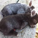 김한솔 PT샵 이미지