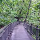 불암산 순환산책로 이미지