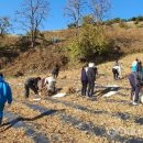 덕산면행정복지센터 이미지