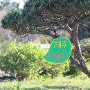 브릭민박 이미지