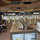 신라A | 스티바A크림 미라클뮤즈 HDC 신라 아이파크 면세점 후기!!!