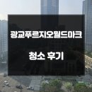 광교푸르지오월드마크오피스텔 | 광교푸르지오월드마크 오피스텔 입주청소 현장 속으로