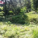 사하구-11 이미지