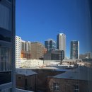 마운틴마트 금성점 | [나의 호주 한달 여행기- 12일]퍼스 무어리버, 란셀린사막, 피나클스 - 은하수 투어와 스냅사진