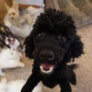 더 개편한세상 이미지