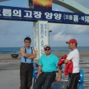 강원도물회 - 10568 | 강원도물회