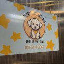 유니호텔 | 창원 애견유치원 애견호텔 유니미니반려견센터 후기뿅