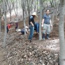 강원산림원 이미지